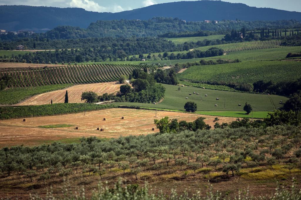 Agriturismo Sanguineto Acquaviva  Exteriér fotografie