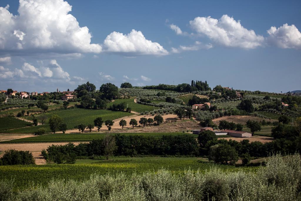 Agriturismo Sanguineto Acquaviva  Exteriér fotografie